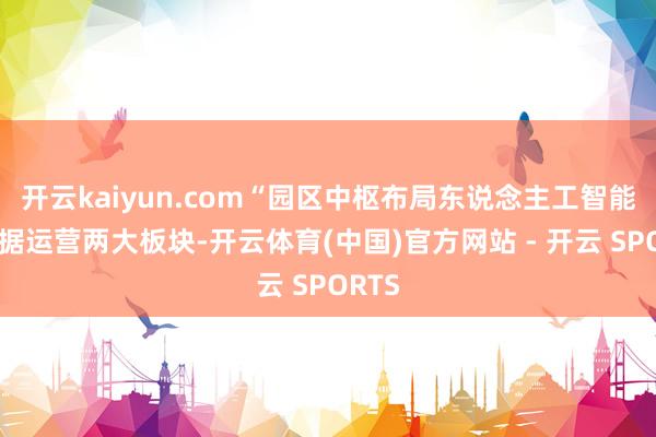 开云kaiyun.com“园区中枢布局东说念主工智能和数据运营两大板块-开云体育(中国)官方网站 - 开云 SPORTS