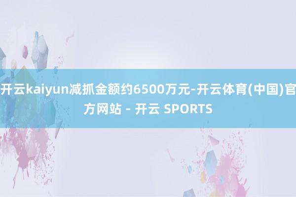 开云kaiyun减抓金额约6500万元-开云体育(中国)官方
