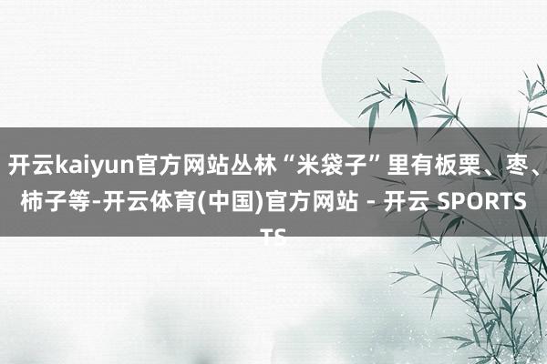 开云kaiyun官方网站丛林“米袋子”里有板栗、枣、柿子等-